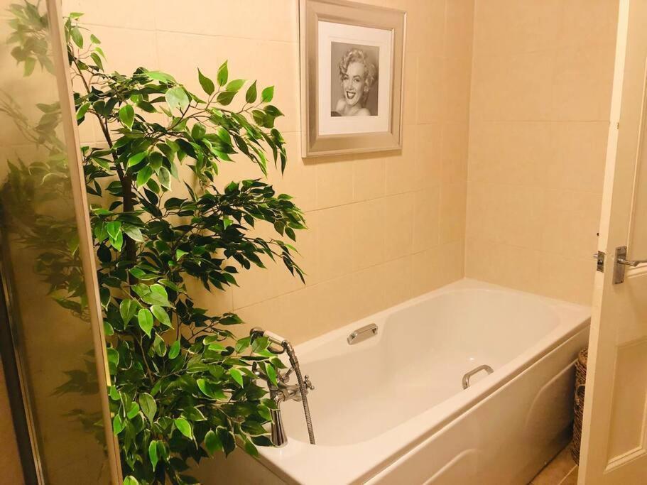 Ilkley Garden Suite المظهر الخارجي الصورة